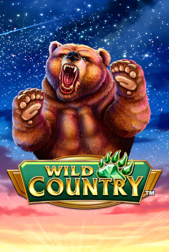 Wild Country бесплатная демо игра | Вулкан Вегас Казахстан без регистрации